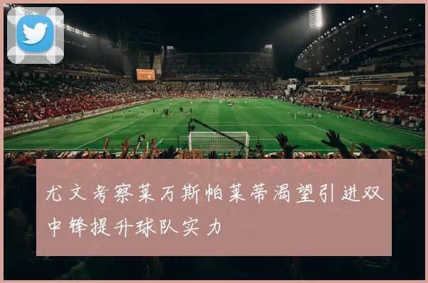 尤文考察莱万斯帕莱蒂渴望引进双中锋提升球队实力